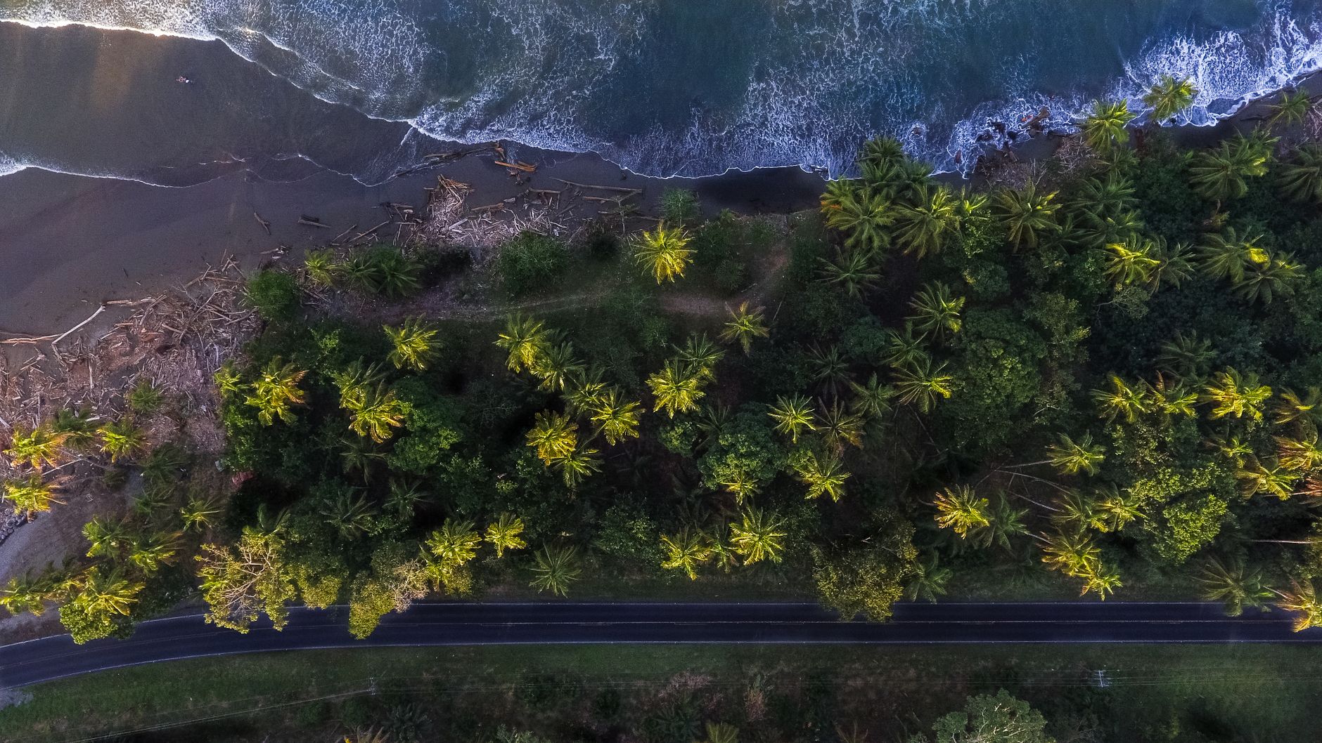 Surfcamps in Costa Rica: Pura Vida am Pazifik